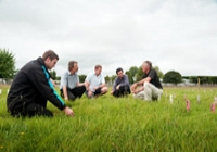 People sitting in a grassy field