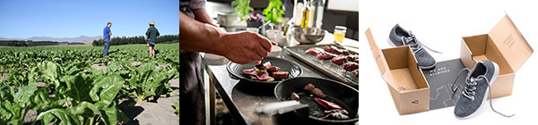 Fodderbeet field, chef preparing SILERE merino meat, and Allbirds wool shoes