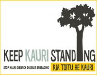Keep Kauri standing logo