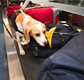 Biosecurity system
