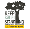 The campaign to save our kauri forests