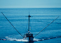 Sustainable fisheries