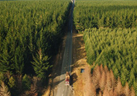 aerial photo of logging truck on road in forest