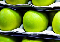 Exporting apples