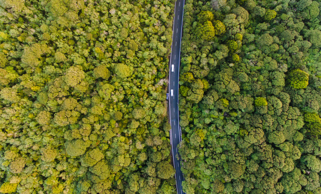 Aerial view of road cutting through dense forest.