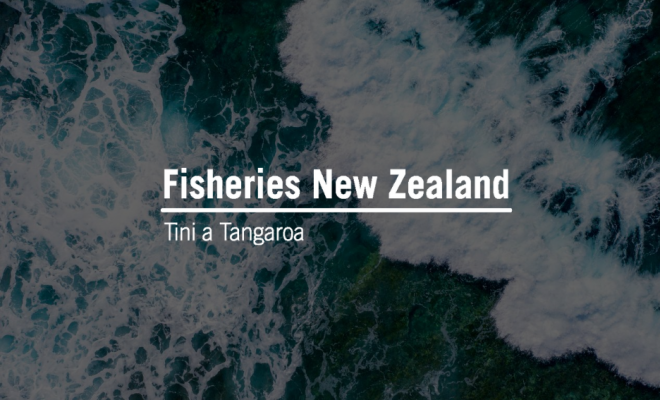 Fisheries New Zealand logo overlaid on aerial view of ocean waves.