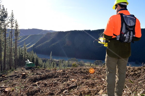 a worker on a hill remotely controls a commercial forest harvesting machine