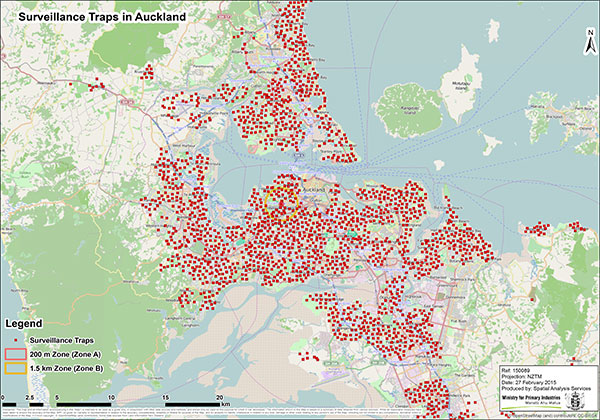 Map of Auckland covered with hundreds of red dots, one for each trap.