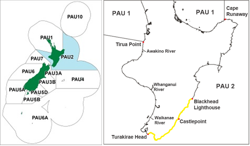 A map of New Zealand showing the paua fishery areas. The paua 2 area is shaded blue. Another map beside it shows the lower half of the North Island with the commercial paua 2 fishing area outlined in yellow. The commerical area goes from Blackhead Lighthouse in the north, past Castlepoint, and down to Turakirae Head.