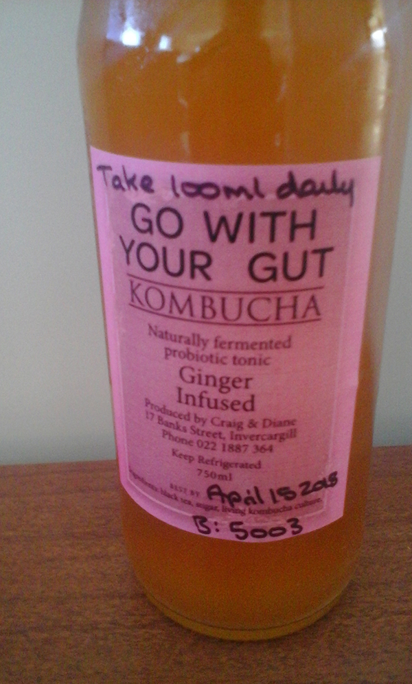 A glass bottle of kombucha, ginger flavour