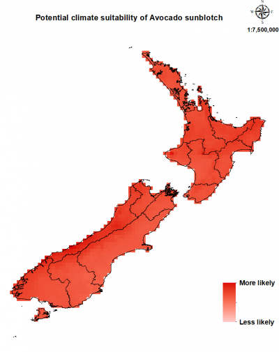 Map of New Zealand showing where avocado sunblotch disease could establish