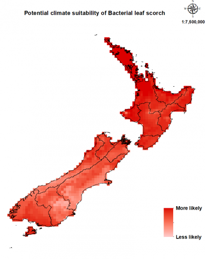 Map of New Zealand showing where this disease could establish