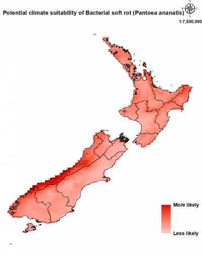 Map of New Zealand showing where bacterial soft rot could establish