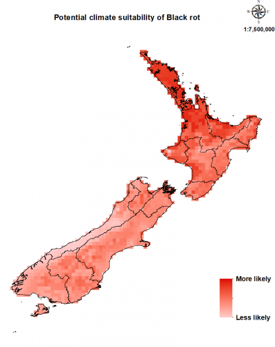 Map of New Zealand showing where this disease could establish