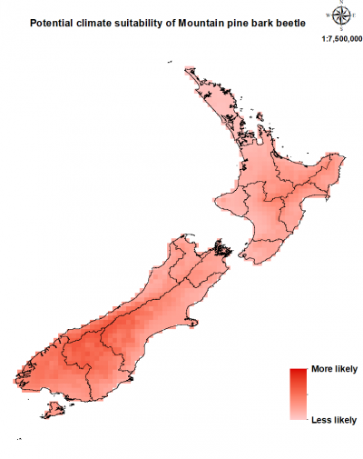 Map of New Zealand showing where mountain pine bark beetle could establish