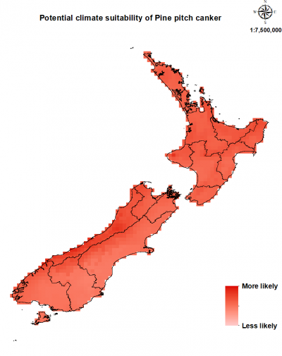 Map of New Zealand showing areas where pine pitch canker could establish.