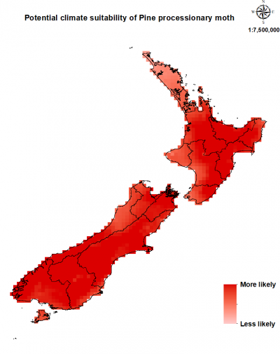 Map of New Zealand showing where the pine processionary moth could establish