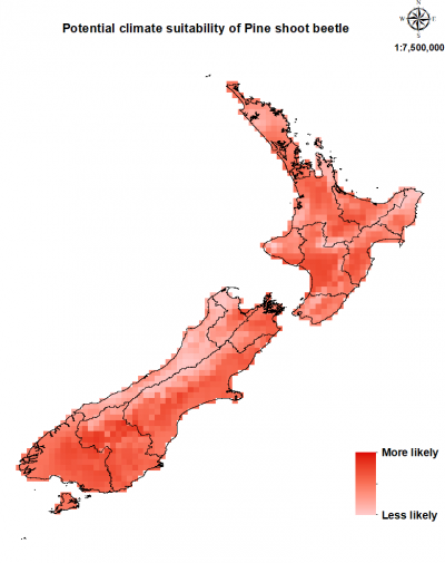 Map of New Zealand showing where the pine shoot beetle could establish