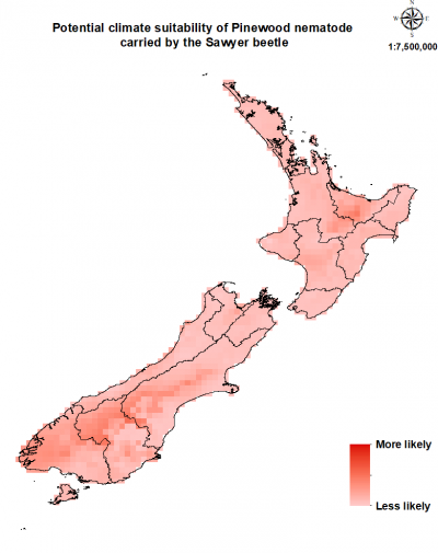 Map of New Zealand showing where this pest could establish