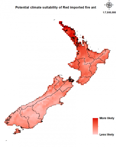 Map of New Zealand showing where this pest could establish
