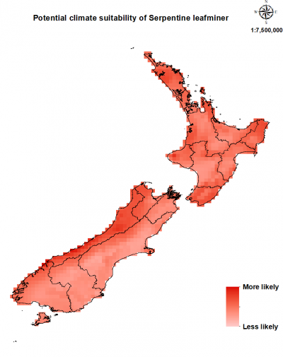 Map of New Zealand showing where serpentine leafminer could establish