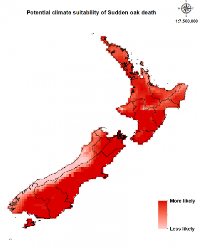 Map of New Zealand showing areas where sudden oak death could establish.