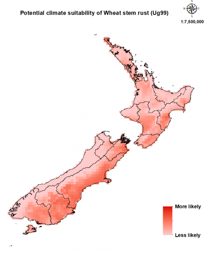 Map of New Zealand showing areas where wheat stem rust could establish.