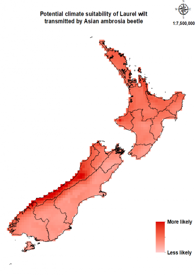 Map of New Zealand showing where this pest/disease could establish