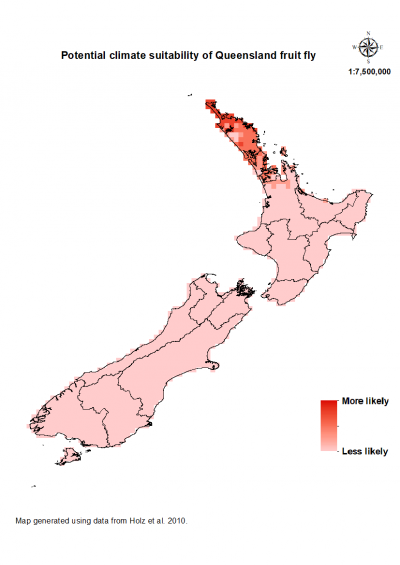 Map of New Zealand showing where this fruit fly could establish
