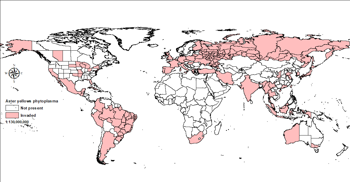 World map showing distribution of aster yellows phytoplasma