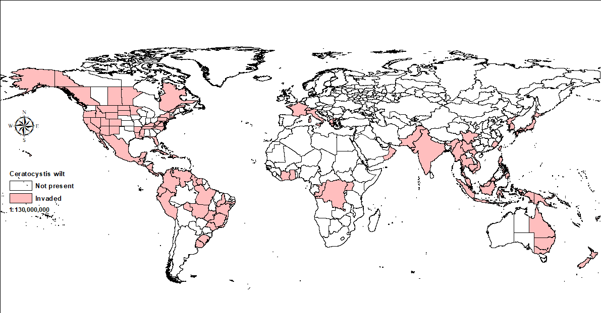 World map showing distribution of Ceratocystis wilt