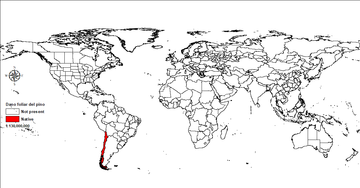 World map showing distribution of daño foliar del pino (DFP)