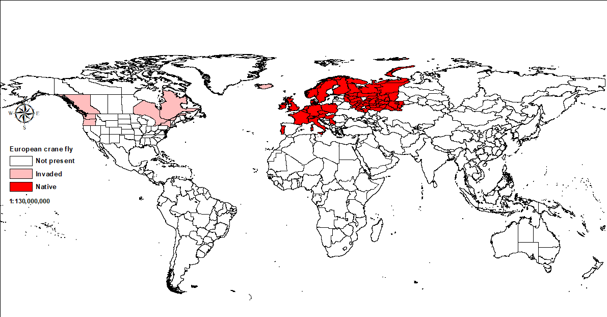 World map showing distribution of European crane fly.