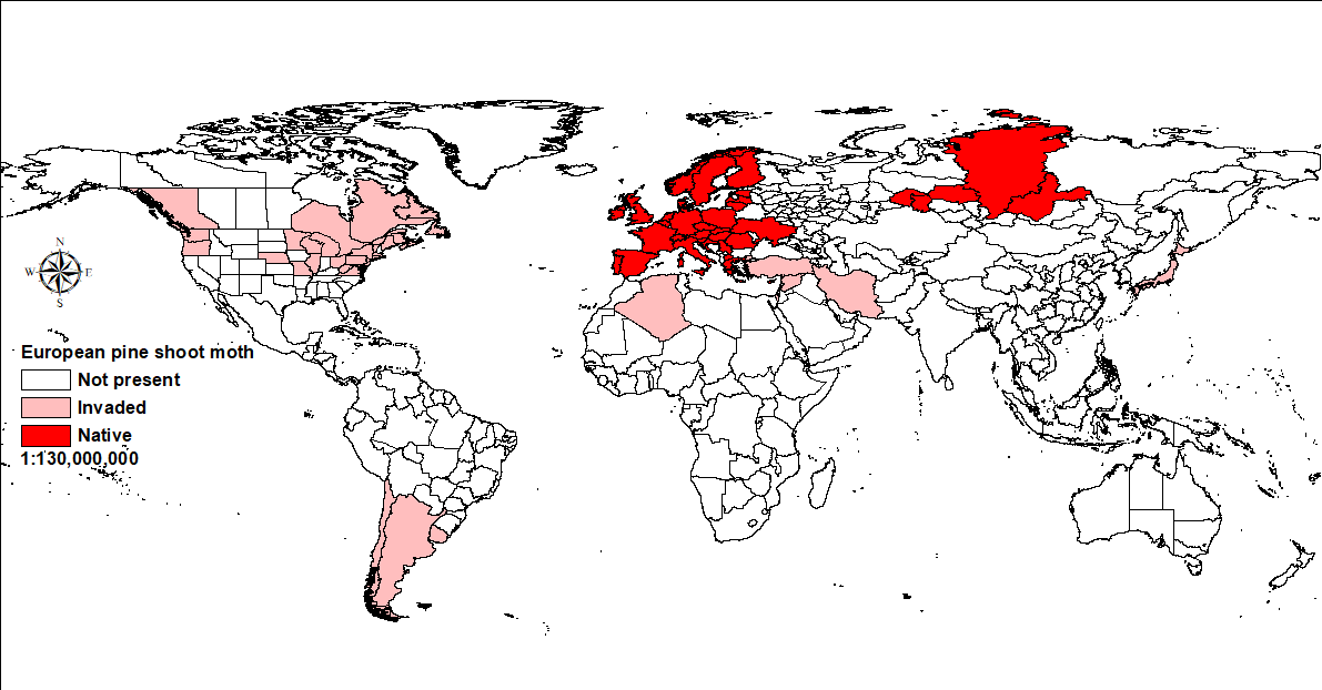 World map showing distribution of European pine shoot moth.