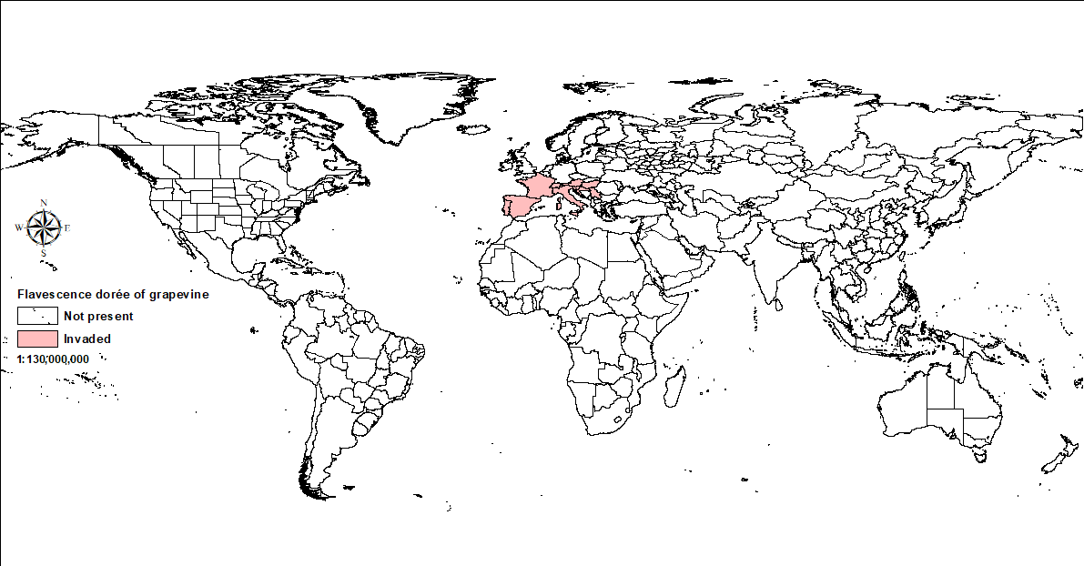 World map showing global distribution of flavescence dorée of grapevine