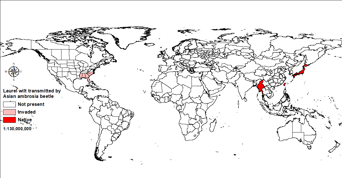 World map showing distribution of laurel wilt