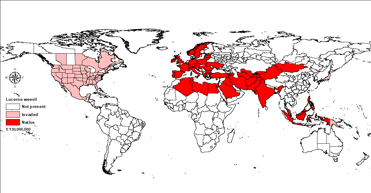 World map showing global distribution of alfalfa weevil