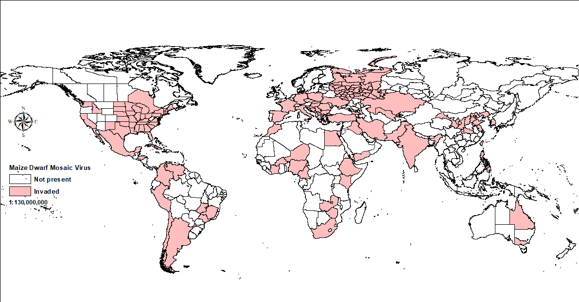 World map showing distribution of maize dwarf mosaic virus