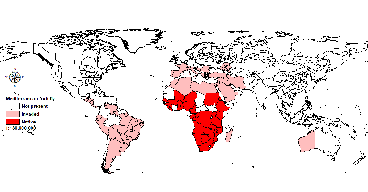 Map showing world distribution of medfly