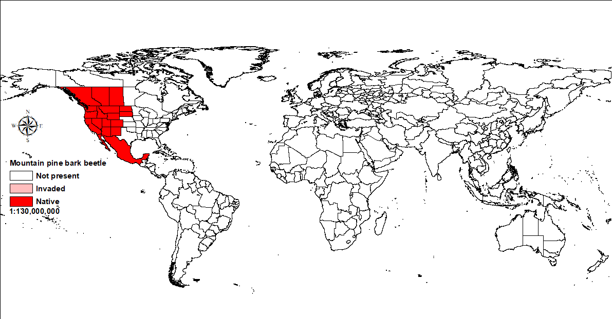World map showing distribution of mountain pine bark beetle