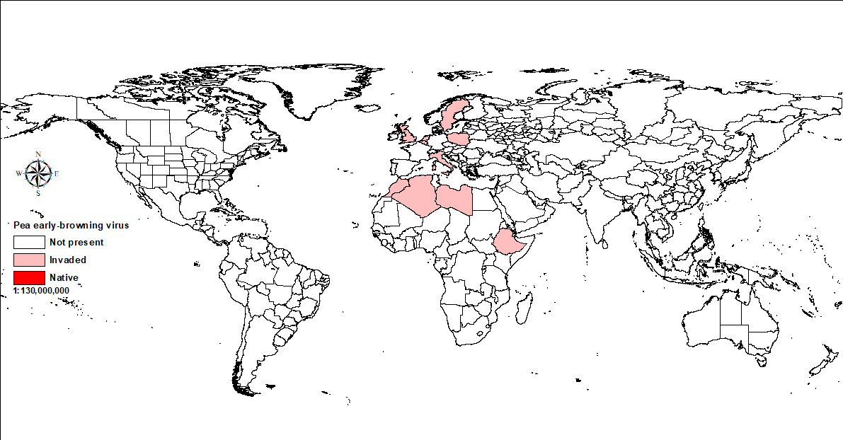 World map showing distribution of pea early-browning virus