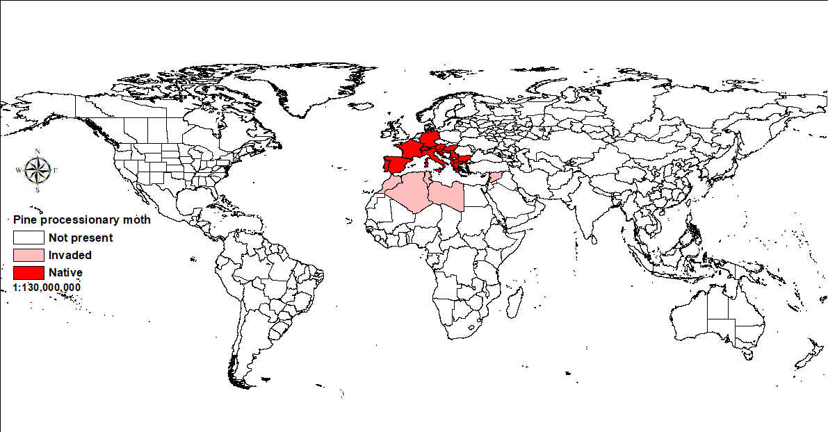 World map showing distribution of pine processionary moth.