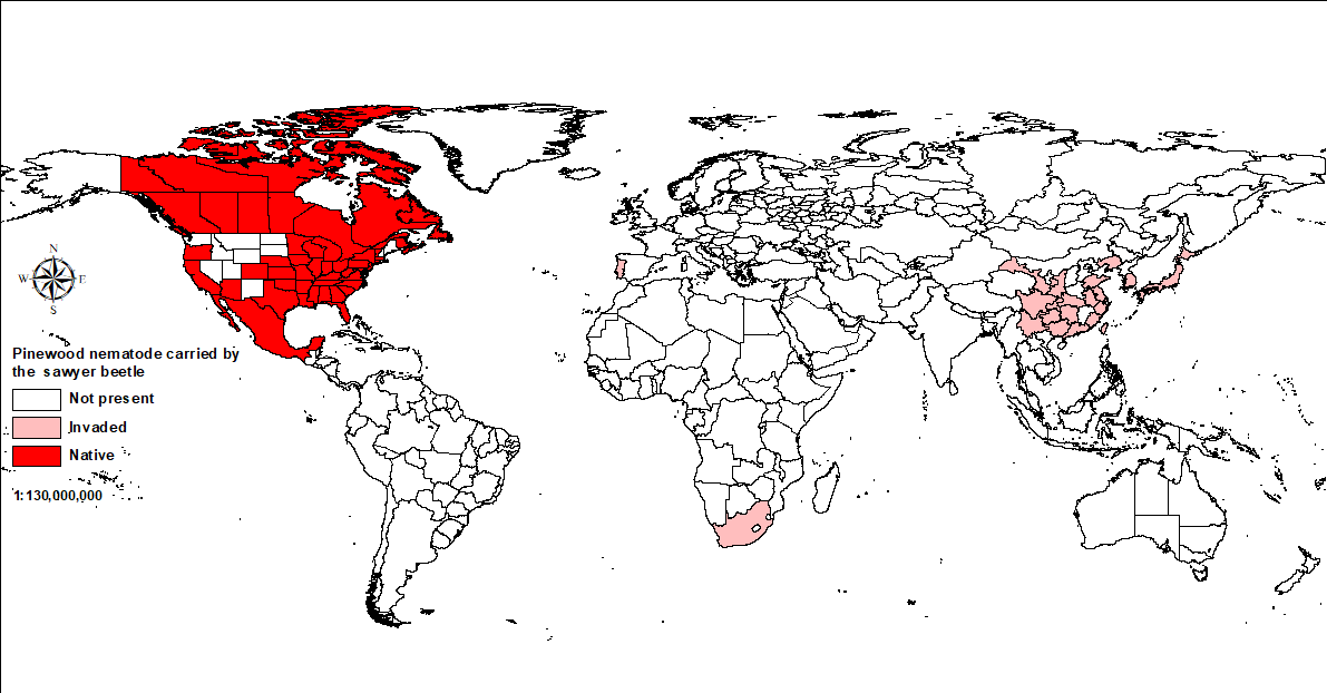 World map showing distribution of the pinewood nematode.