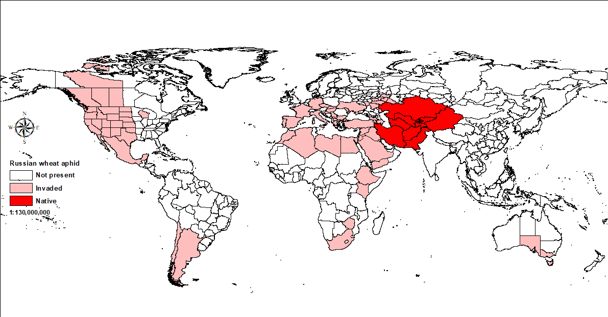 World map showing global distribution of russian wheat aphids