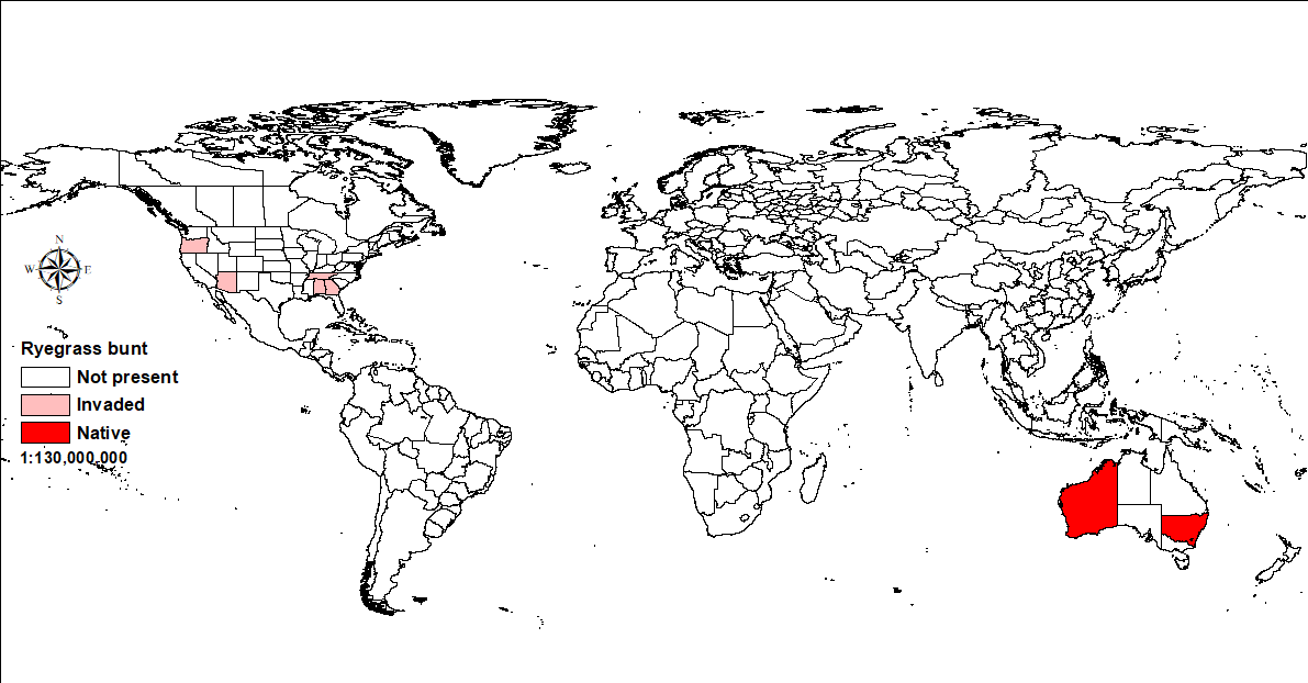 World map showing distribution of ryegrass bunt