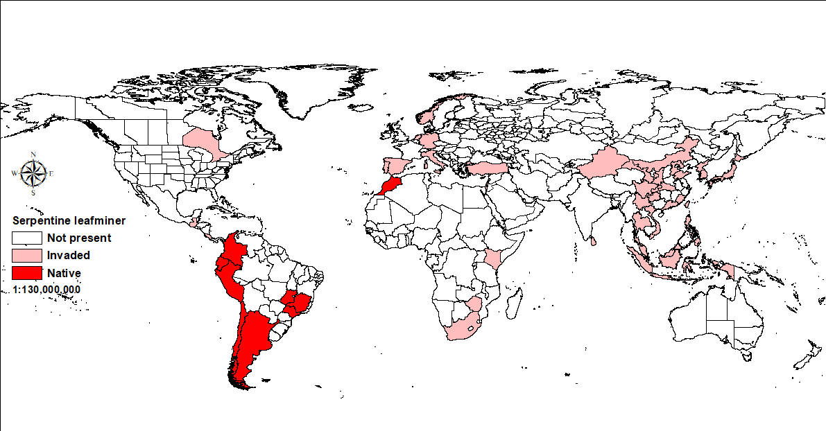 World map showing distribution of serpentine leafminer