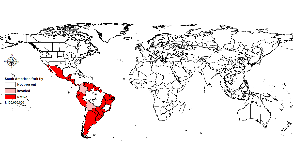 World map showing distribution of South American fruit fly