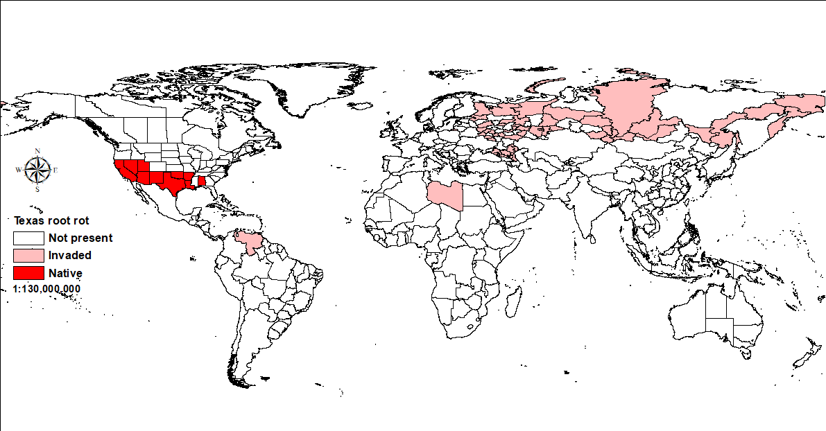 World distribution of Texas root rot.