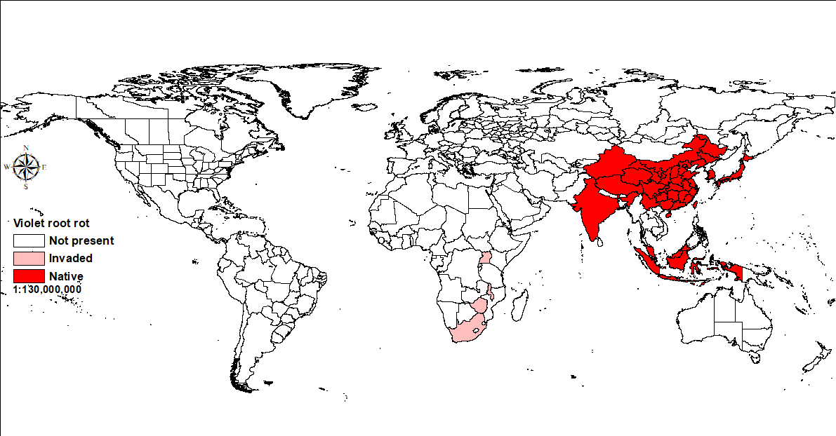 World map showing distribution of violet root rot.