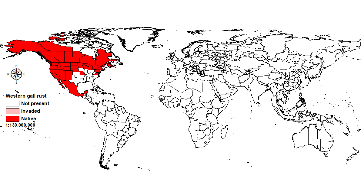 World distribution of western gall rust